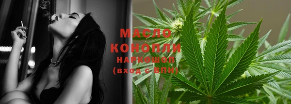 метадон Каменка