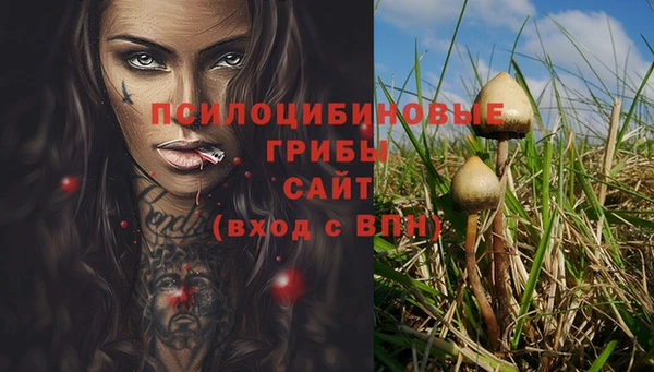 соль ск Абдулино