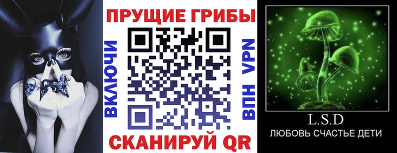 Галлюциногенные грибы Psilocybine cubensis закладка Монино